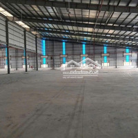 Cho Thuê Kho Xưởng Kcn Long Hậu, Long An, Tổng Diện Tích: 18.000M2, Xưởng: 10.000M2, Pccc Tự Động