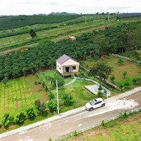 18 M2 Mặt Đường Hàng Hiếm Tại Lộc Quảng, Bảo Lâm, Lâm Đồng, 513M2