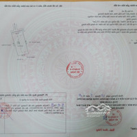 Bán Nhà Biệt Thự Mái Thái Phú Mỹ Gần Huỳnh Văn Luỹ