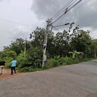 Bán Đất Tại An Điền, Giá Cực Chất 2,7 Tỷ, Diện Tích 1515.8M2, Pháp Lý Đầy Đủ