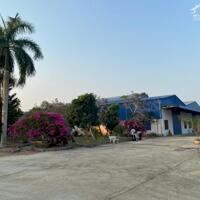 Xưởng bán hoặc cho thuê 1958m2 (TDT 12800m2) Hòa Thành Tây Ninh