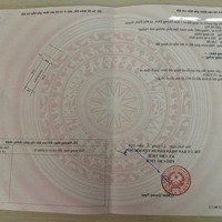 Chính Chủ Bán Đất Đấu Giá Hương Đình - Mai Đình - Sóc Sơn 95M2