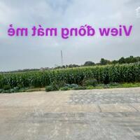 Siêu Phẩm 103m2 Quang Tiến Sóc Sơn - View KĐT - Đường 6m Thông Thoáng