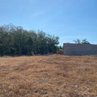 Bán Đất Đẹp Ngay Kcn - Đầu Tư Sinh Lời X3, X4 	Diện Tích: 5M X 31M (155M)