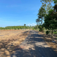 Bán Đất Đẹp Ngay Kcn - Đầu Tư Sinh Lời X3, X4 	Diện Tích: 5M X 31M (155M)