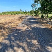Bán Đất Đẹp Ngay Kcn - Đầu Tư Sinh Lời X3, X4 	Diện Tích: 5M X 31M (155M)