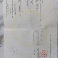 Hàng Hiếm Tại Xã Tân Thông Hội Củ Chi (Dt5X18M) Giá Bán 1Ty680 Sổ Hồng Riêng: Lh0909362-683 Xem Pháp Lý