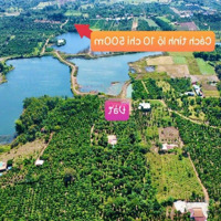 1000M2 View Hồ Lớn Khu Dân Cư Giảm 20 Triệu Còn 279 Triệu Mặt Tiền Ngang Tận 20M Cách Tỉnh Lộ Chỉ 500M