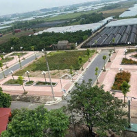 Bán Nhanh 73,8M2 Đất Đấu Giá Đồng Súc, Thị Trấn Phùng. 2 Mặt Tiền 5M. Tiện Ích Ngập Tràn