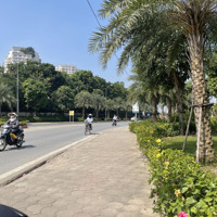 Đất. Dịch. Vụ. Ko Lỗi. Gì. Mà Giá. Hơn 80 Triệu Tý. Vị Trí Đẹp
