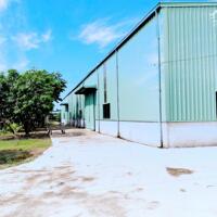 Cần cho thuê xưởng diện tích 1000m2 2000m2-5hecta KCN Mỹ Hào Hưng yên