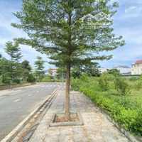 Chỉ 26 Triệu/M2 Căn Biệt Thự Góc Siêu Vip 300M2 Vị Trí Trung Tâm Huyện Lương Sơn - 9 Donwtown Lương Sơn