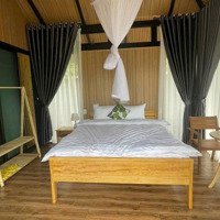 Bán Homestay Tại Xã Lộc Thanh, Thành Phố Bảo Lộc 4000M2 Có Sẵn 15 Home Đang Hoạt Động ( Giá Bán 24 Tỷ)