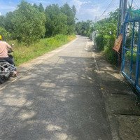 Đất Đẹp Làm Kho Bãi Nhà Xưởng Nhà Vườn Đường Bê Tông Quá Đẹp 2 Bên Cống Rãnh Đất Thổ 1000M