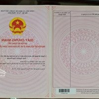 Chính Chủ Cần Bán Gấp Thửa Đất Thổ Cư Tại Xã Long Phước, Huyện Long Thành, Đồng Nai
