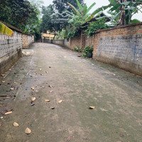 1,6 Tỷ Cho Lô Đất 2 Mặt Tiền Đường Bê Tông Thông Thoáng Tại Ba Trại, Ba Vì, Hn. 527,2M2 (130M2 Ont)