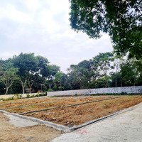 Chính Chủ Bán Đất Thổ Cư Tách Thửa Tại Yên Phú - Yên Định - Thanh Hóa .