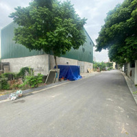 Bán Gấp Đất Đấu Giá Du Nội, Mai Lâm, Cách Vin Cổ Loa 1Km Tiềm Năng Sinh Lời Đầu Tư Cao, Đừng Bỏ Lỡ!