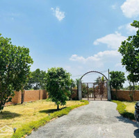 Bán Mảnh Vườn 3000M2 Có Nhà Cấp 4 Có Cây Ăn Trái, Giá Chỉ 900 Triệu Bình Dương