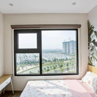 Top Căn Chuyển Nhượng Giá Tốt Nhất Ocean Park T12/2024