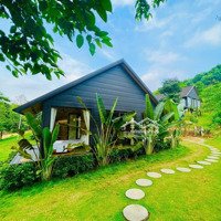 Bán Gấp Homestay Thung Mây Resort - Dòng Tiền 30 Triệu - 3.3 Tỷ