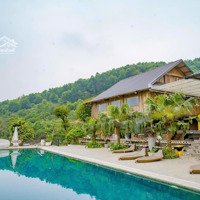 Bán Gấp Homestay Thung Mây Resort - Dòng Tiền 30 Triệu - 3.3 Tỷ