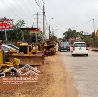 Bán Đất Làng Nghề Xã Tề Lỗ, Huyện Yên Lạc - Bác Sĩ Nhà Đất