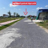 20 Lô Đất Mặt Biển Quất Lâm - Giao Thủy, Nam Định - Full Thổ Cư, Sổ Hồng Lâu Dài - Siêu Hiếm