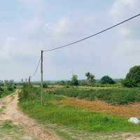 Lô Góc 2 Mặt Tiền Đường Đất Cây Hàng Năm, Ô Tô Đến Tận Nơi Giá Bán Chỉ 700K/M2 Tại Cam Phúc Bắc
