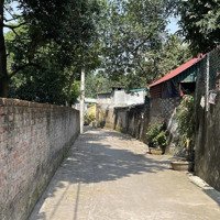 Full Thổ Cư F0 Tại Thôn Nội, Xã Tam Thuấn, Phúc Thọ