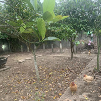 Bán Lô Đất Cực Đẹp Tuyến 2 Đường Phạm Văn Đồng, Dương Kinh, Hải Phòng.diện Tích150M Ngang 7M Giá 40 Triệu/M