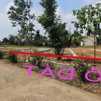 100.1M2 Đất Đô Thị Ba Hàng Đồi Giá Chỉ 560 Triệu