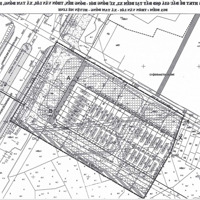 Chính Chủ Bán Đất Đấu Giá 130M2, Mặt Tiền 5,5M Đất Đấu Giá X2 Tam Đồng, Mê Linh, Hà Nội