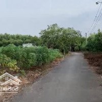 Bán Lỗ Lô Đất, 3.600M2 Long Thành, Giá Bán 1.39 Triệu/M2, 100% Full Thổ Cư