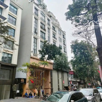 Bán Tòa Nhà V.p Công Ty - Thang Máy - Gara - 85M2, 9T Hơn 40 Tỷ Mỹ Đình, Nam Từ Liêm