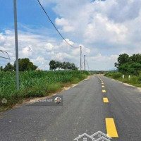 Cơ Hội Vàng - Đất Vườn Trái Cây Long Mỹ Phước Hải 3000M2 Giá Đầu Tư