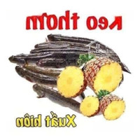 Nguyễn Trọng Tuyển Phường 1 Tân Bình Hẻm Xe Hơi Diện Tích: 68M Ngang 4M Chỉ 9.1 Ty