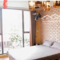Nhà 6,5 Tỷ - Nghi Tàm - Tây Hồ - 50 M2, Dòng Tiền Tiềm Năng, Phân Lô Vip - Gần Phố - Ô Tô Tránh