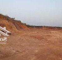Cơ Hội Sở Hữu Lô Đất Đấu Giá Đẹp Giá Rẻ Tại Thụy Lôi, Tiên Lữ, Hưng Yên