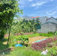 Tài Chính Chỉ Hơn 200 Triệu Có Ngay Đất Vườn 50 Năm Gần Khu Dân Cư Tại Chùa Thầy Sài Sơn Quốc Oai Hn