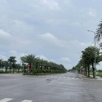 Thu Hồi Vốn Bán Nhanh Biệt Thự View Hồ Điều Hòa Tại Nam Hồng Đồng Kị Từ Sơn, 350M2, Giá Cực Hời