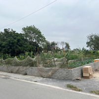 Đất Nền Tại Nghĩa Trụ, Văn Giang, Hưng Yên, Giá Ưu Đãi 6,3 Tỷ, 83M2