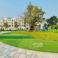 Bán Nhanh Liền Kề Sao Biển 70M2 Mặt Công Viên 4000M2 Giá Bán 16 Tỷ Vinhomes Ocean Park Gia Lâm Hà Nội