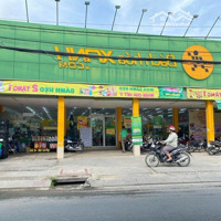 Bán Gấp Lô Đất 498M2 Mặt Tiền Nguyễn Thị Rành Củ Chi Chủ Kẹt Tiền Bán