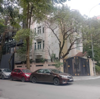 Chính Chủ Bán Biệt Thự Lô Góc, View Vườn Hoa Mễ Trì Hạ, Kinh Doanh Đỉnh
