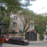 Chính Chủ Bán Biệt Thự Lô Góc, View Vườn Hoa Mễ Trì Hạ, Kinh Doanh Đỉnh