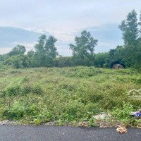 Bán 3100M2 Có 300M2 Thổ Cư Ngay Mặt Tiền 328 Đường Xuống Biển Hồ Tràm, Cách Mặt Tiền 200M 13 Tỷ Tl