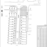 Bán Đất Thổ Cư Cư Đường 40 Phường Hiệp Bình Chánh. Tp Thủ Đức.