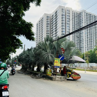 Cơ Hội Đầu Tư Sinh Lời Cao - Bán Đất Khu Dân Cư Phước Thiện Mặt Tiền 12M