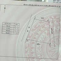 Bán Đất 591,8M2 Tại Đường 309B, Hướng Đạo, Tam Dương, Vĩnh Phúc, Giá Siêu Hời 2,55 Tỷ